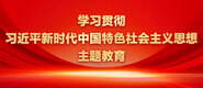 美女被艹在线学习贯彻习近平新时代中国特色社会主义思想主题教育_fororder_ad-371X160(2)